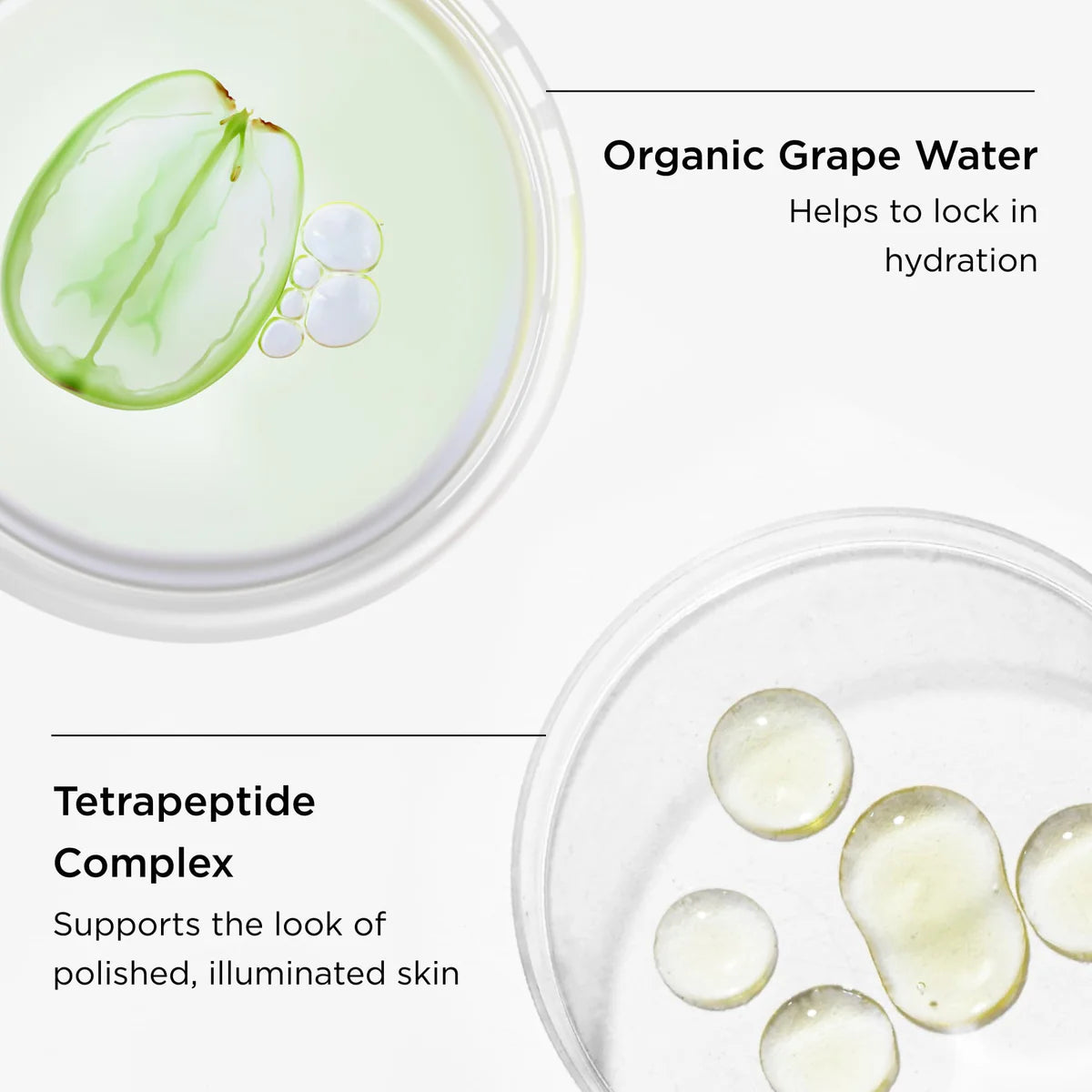 Organic ingredients like Organic Grape Water and Tetrapeptide Complex in ORMEDIC® Balancing Biopeptide Crème for hydrated, luminous skin.