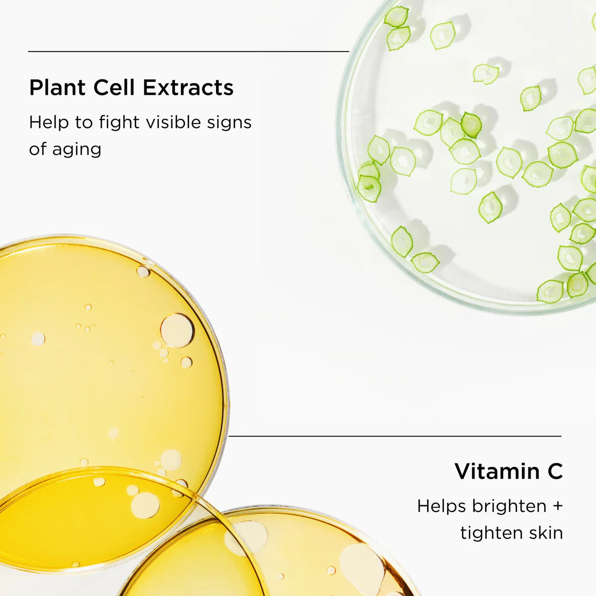 the MAX™ crème with plant cell extracts and vitamin C for anti-aging benefits
